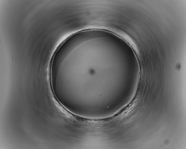 X0000099410958200805161018