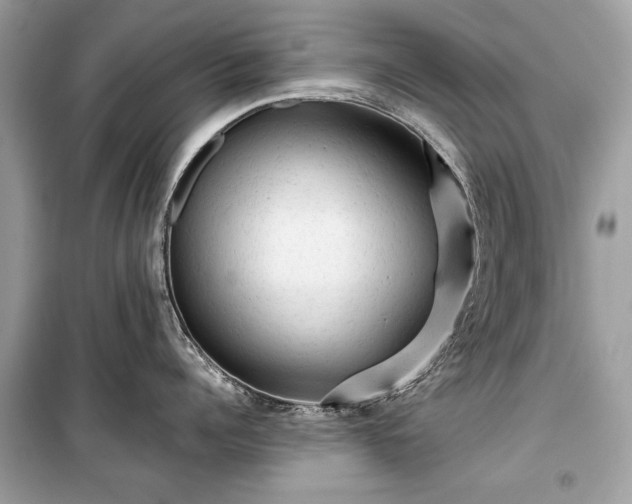 X0000099410960200805161018