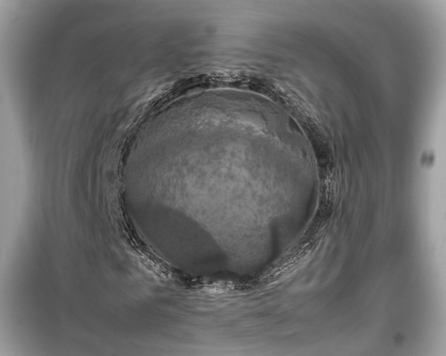 X0000099410961200805161017