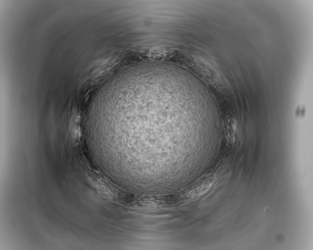 X0000099410962200805161017