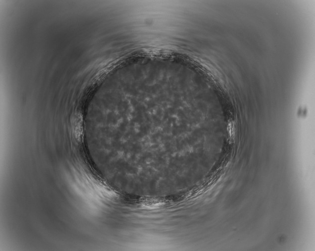 X0000099410963200805161017