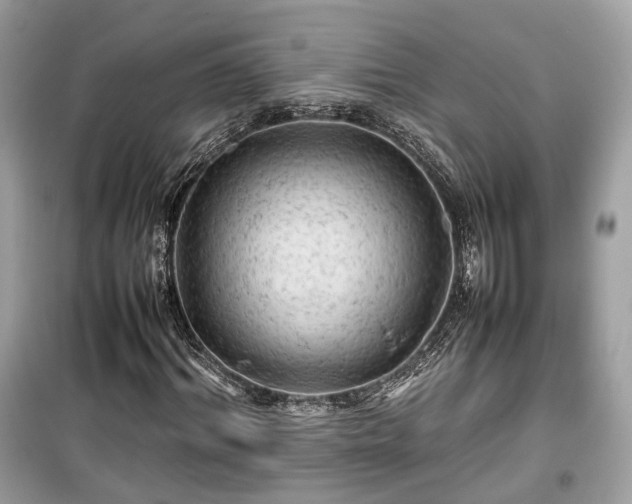 X0000099410964200805161017