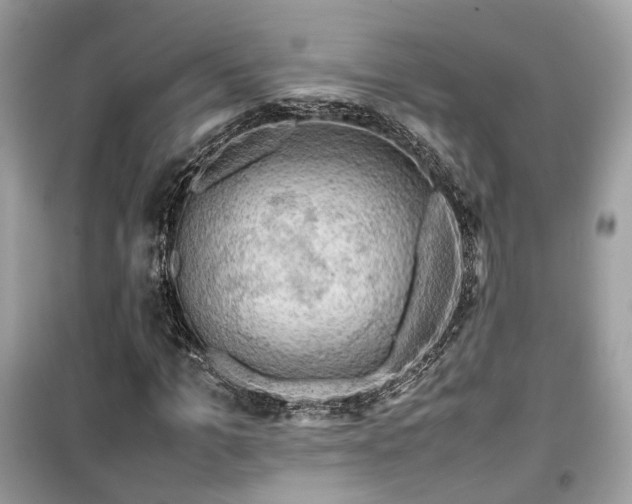 X0000099410965200805161017