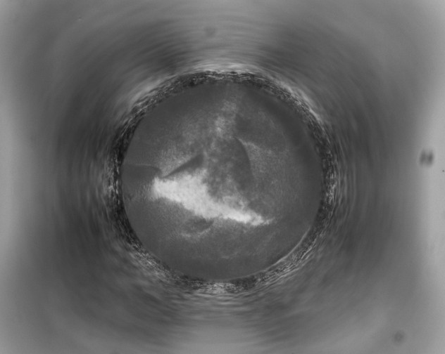 X0000099410966200805161017