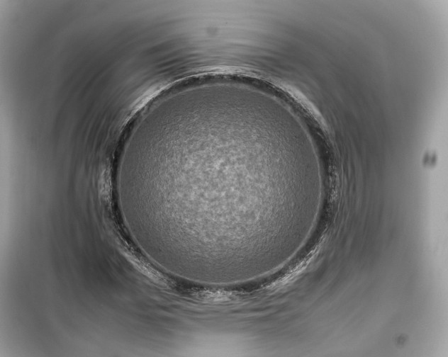 X0000099410969200805161017