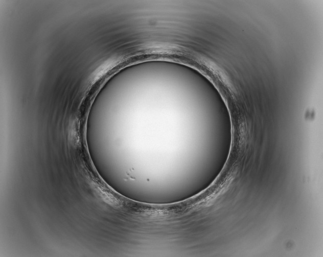 X0000099410970200805161017
