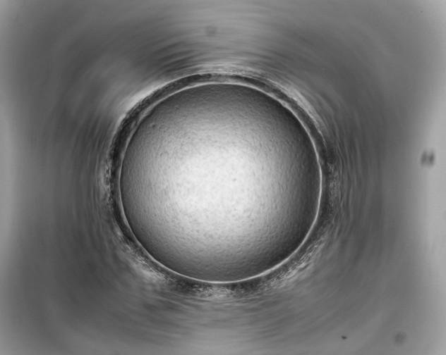 X0000099410971200805161017
