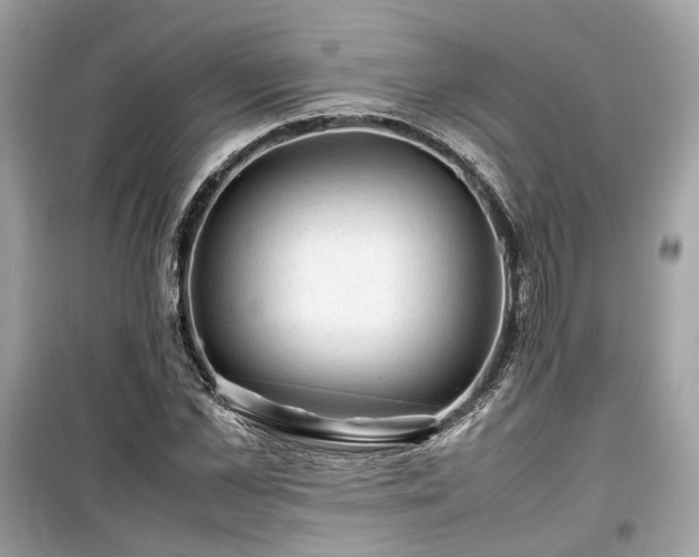 X0000099410973200805161017
