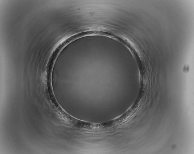 X0000099410975200805161017