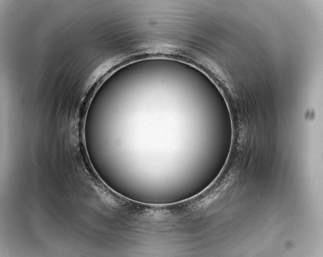 X0000099410978200805161017