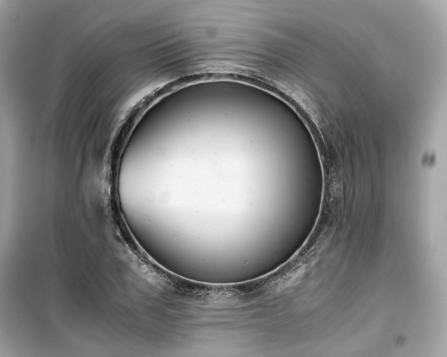 X0000099410979200805161017