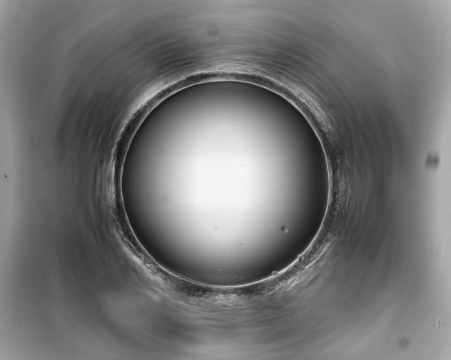 X0000099410982200805161017