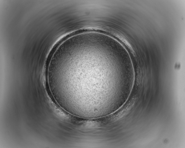 X0000099410984200805161017