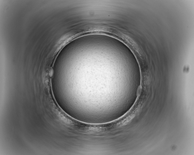 X0000099410985200805161017