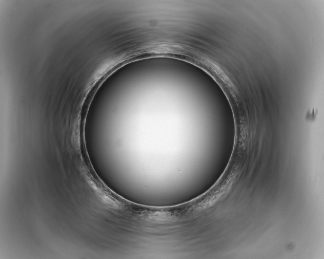 X0000099410986200805161017