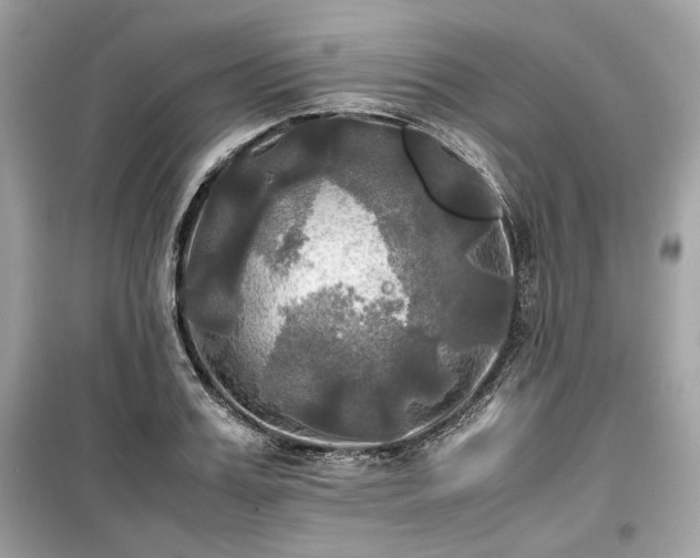 X0000099410987200805161017