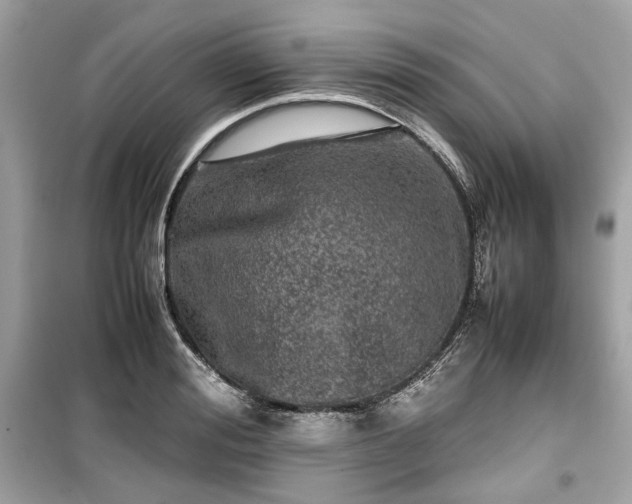 X0000099410988200805161017