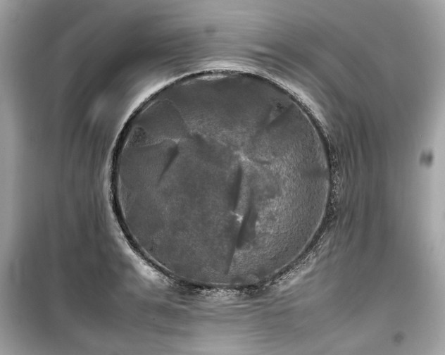 X0000099410991200805161017