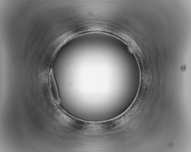 X0000099410993200805161017