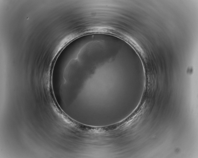 X0000099410994200805161017