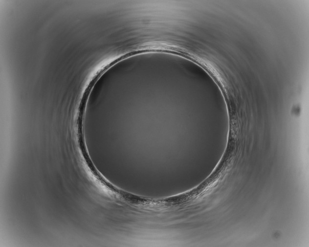 X0000099410995200805161017