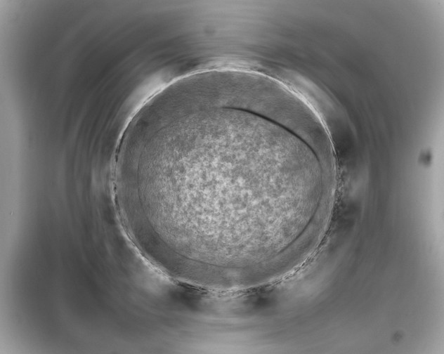X0000099410997200805161017