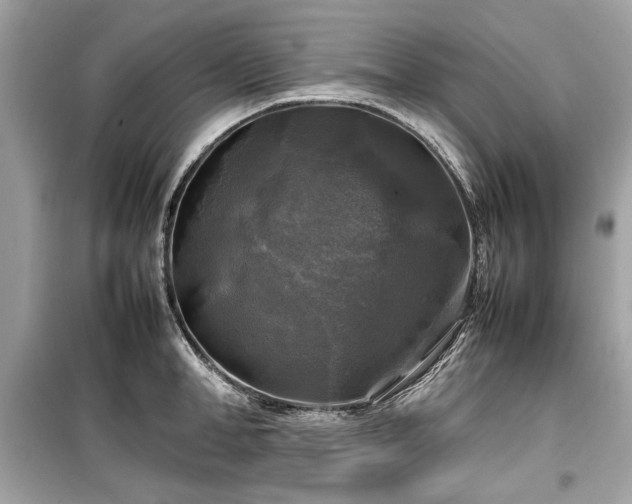 X0000099410998200805161017