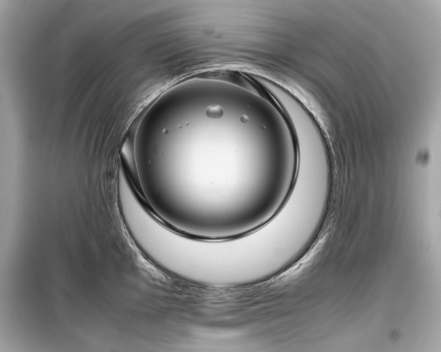 X0000099411001200805161017