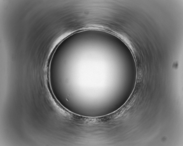 X0000099411003200805161017