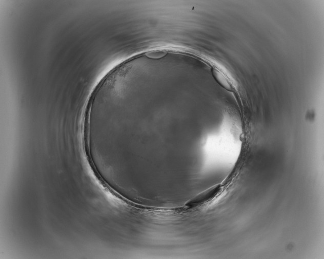 X0000099411007200805161017