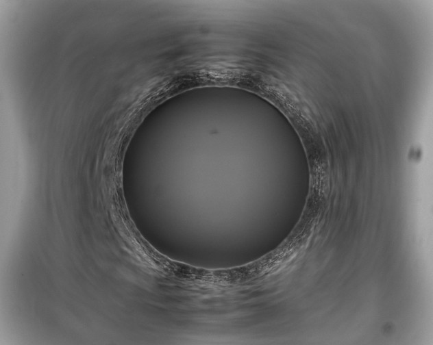 X0000099411009200805161016