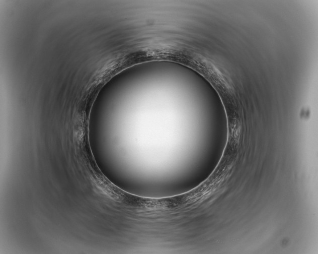 X0000099411012200805161016