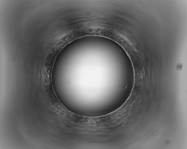 X0000099411013200805161016
