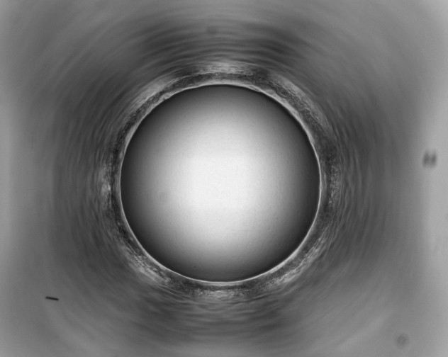 X0000099411017200805161016