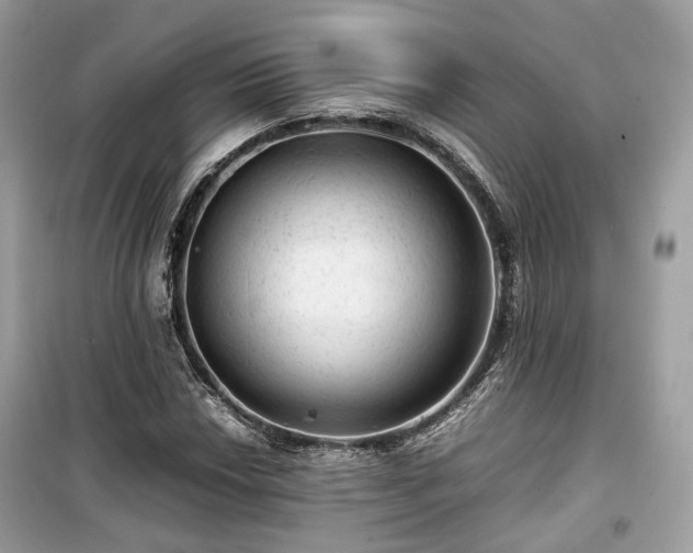 X0000099411018200805161016