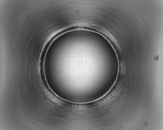 X0000099411020200805161016