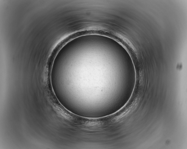 X0000099411021200805161016