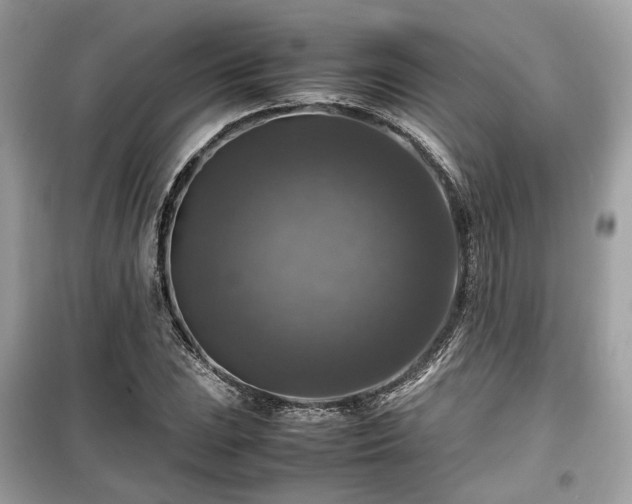 X0000099411023200805161016