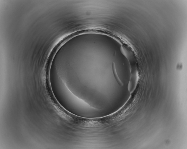 X0000099411024200805161016
