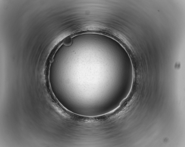 X0000099411026200805161016
