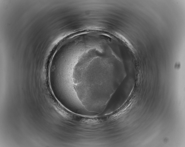 X0000099411027200805161016