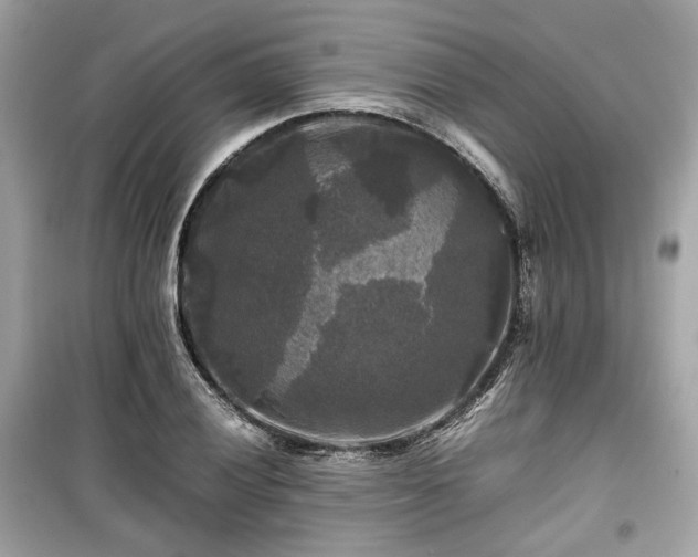 X0000099411028200805161016