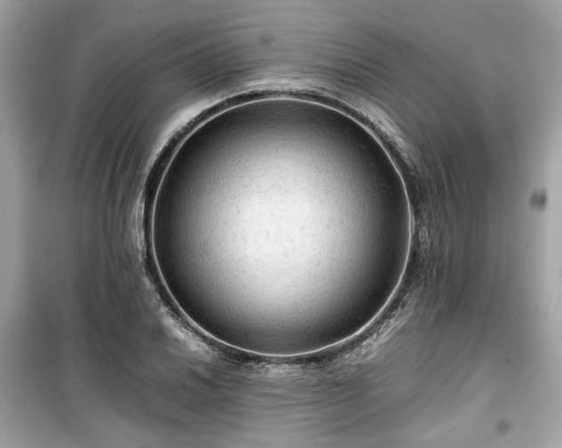 X0000099411030200805161016