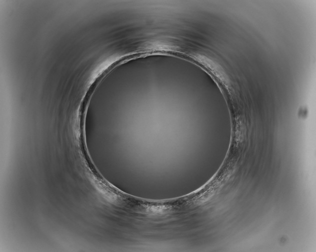 X0000099411031200805161016