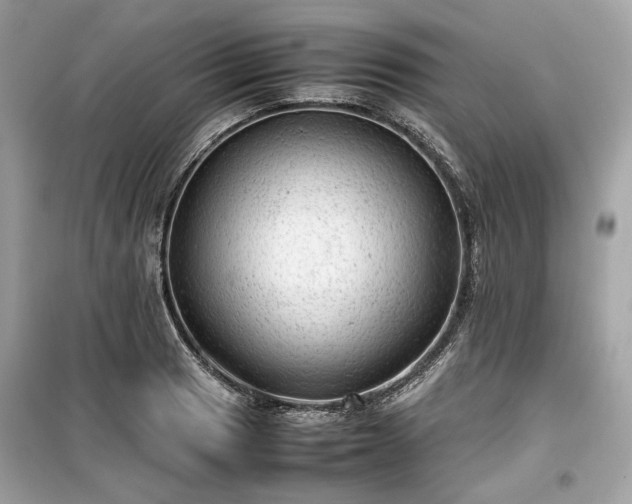 X0000099411033200805161016