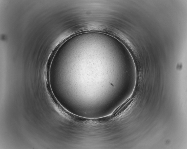 X0000099411034200805161016
