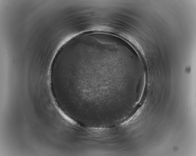 X0000099411037200805161016