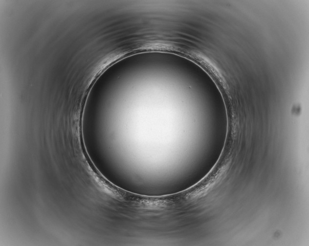 X0000099411041200805161016