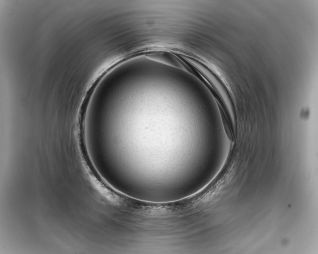 X0000099411042200805161016