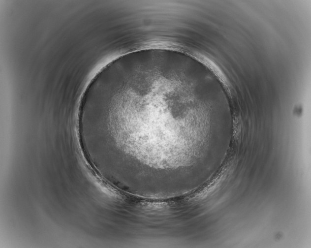 X0000099411043200805161016